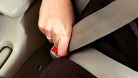 seat belt fitting