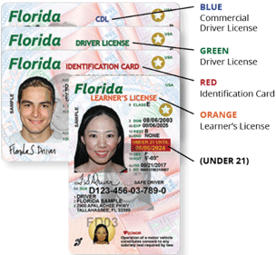 new florida drivers license designation