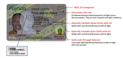 new florida drivers license details