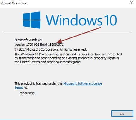 windows build number