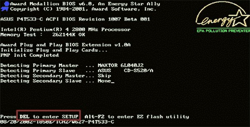 BIOS flash screen