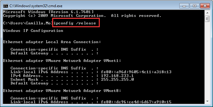ipconfig release