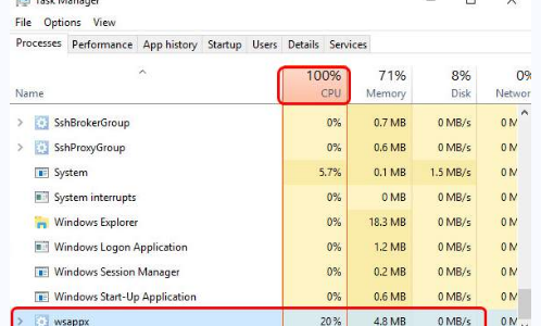 Fix wsappx High Disk & CPU Usage Issue