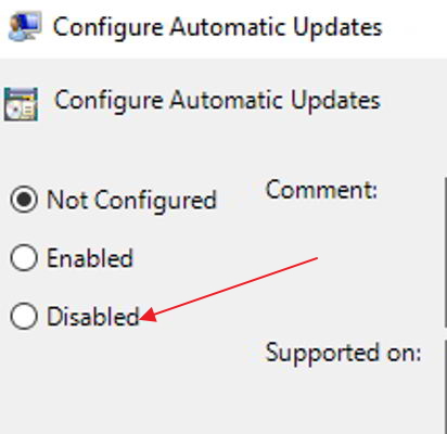 disable auto updates 