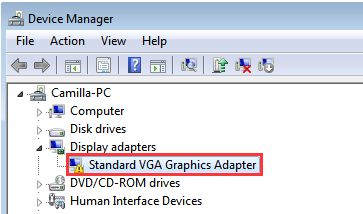 Solution to Standard VGA Graphics Adapter Driver Issue in Windows ...