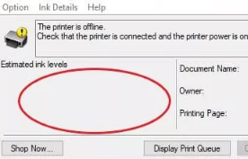 Ink level canon printer