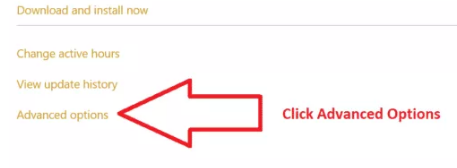 click Advanced Options