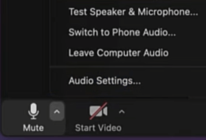 zoom sound settings