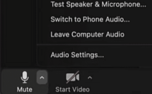 Fix for zoom audio not working